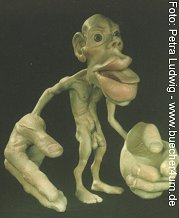 Foto des Somatosensorischen Homunculus